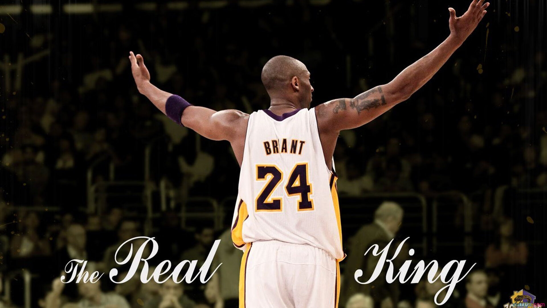 Kaiyun(中国)开云-维尔·冯·威克：充分发挥体能优势，攻破对方防线为南非队创造机会