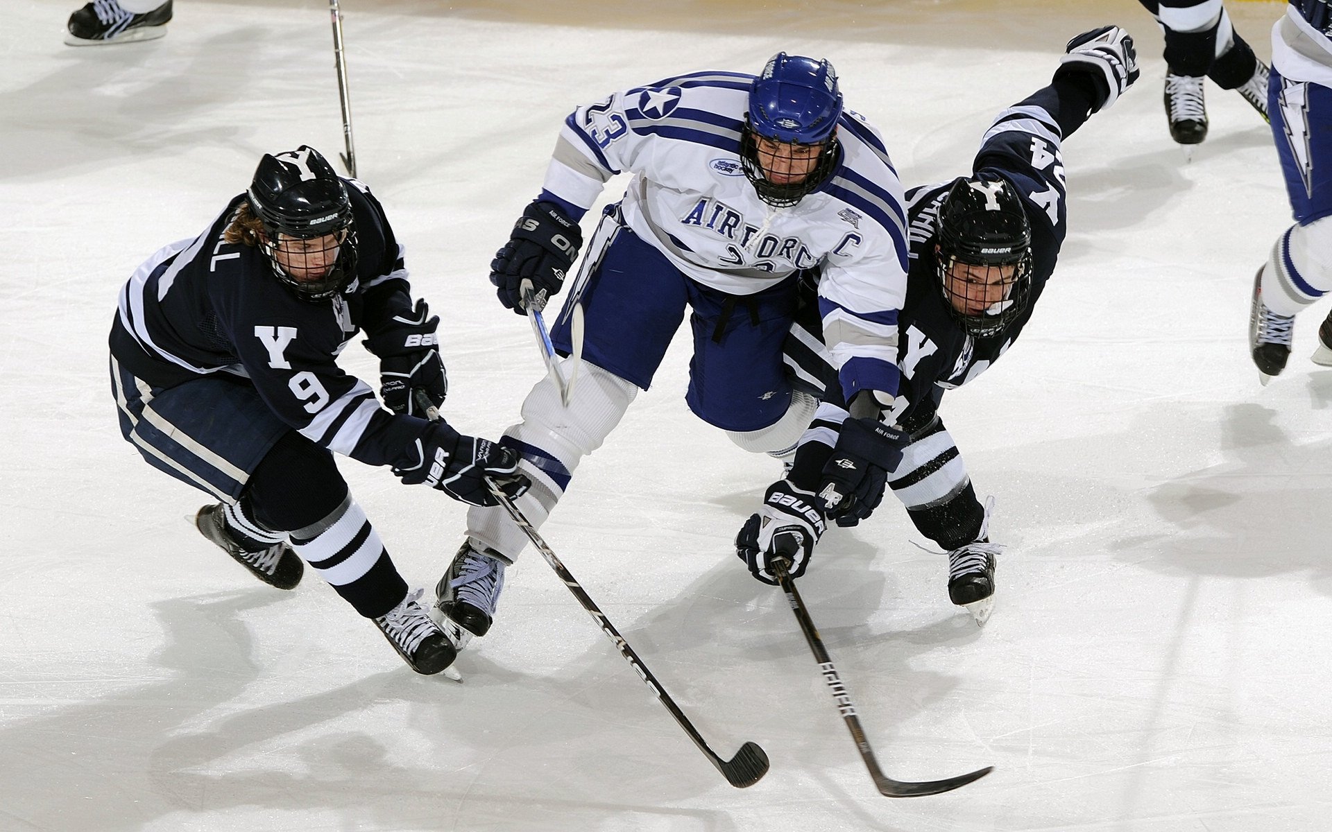 _世界各地网球博物馆：传承运动文化的重要纽带_，世界上最大的网球博物馆